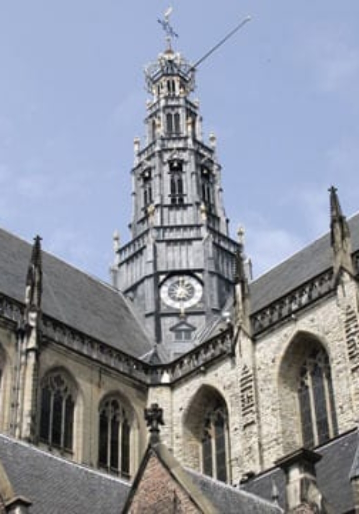 Photos - De Grote Of St. Bavokerk Te Haarlem